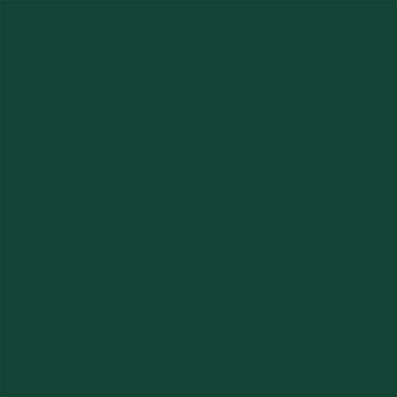 Groen | RAL 6005